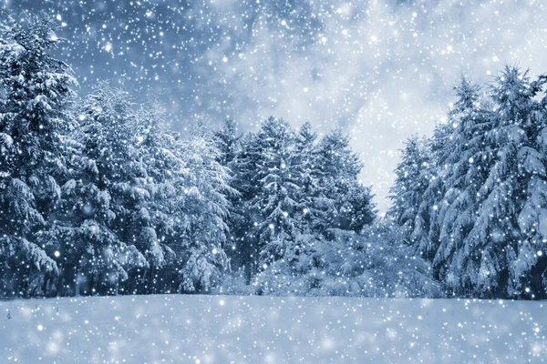 Paysage hivernal avec arbres et chutes de neige. Fond d'hiver . — Photo