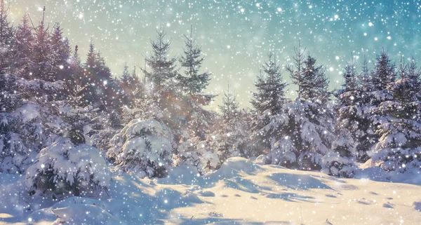 Πτώση χιονιού σε γερμανικό χειμερινό δάσος.Χειμερινό φόντο. — Φωτογραφία Αρχείου