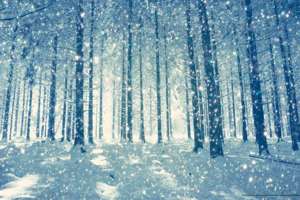 Cachoeira de neve em uma floresta de inverno alemão.Fundo de inverno . — Fotografia de Stock