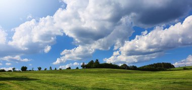 Arka planda beyaz bulutlar olan Summer Grass Field Manzarası.