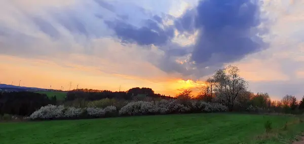 Farbenfroher dramatischer Sonnenuntergang mit großen Wolken und Bäumen. — Stockfoto