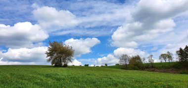 Beyaz bulutlu ve yeşil ağaçlı yaz manzarası.