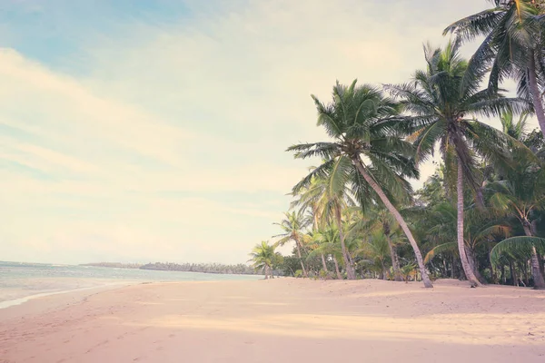 Karayip denizi ve yeşil palmiye ağaçları. Seyahat arkaplanı. — Stok fotoğraf