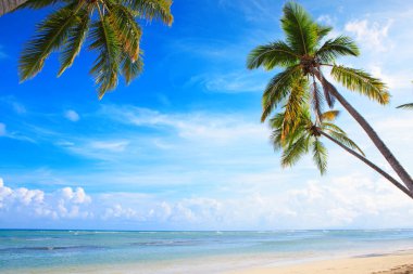 Beyaz tropikal sahilde Karayip denizi ve yeşil palmiye ağaçları.