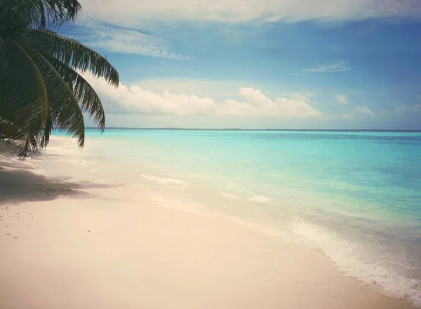 Tropischer Strand der Malediven mit Kokospalmen und blauem Himmel. — Stockfoto