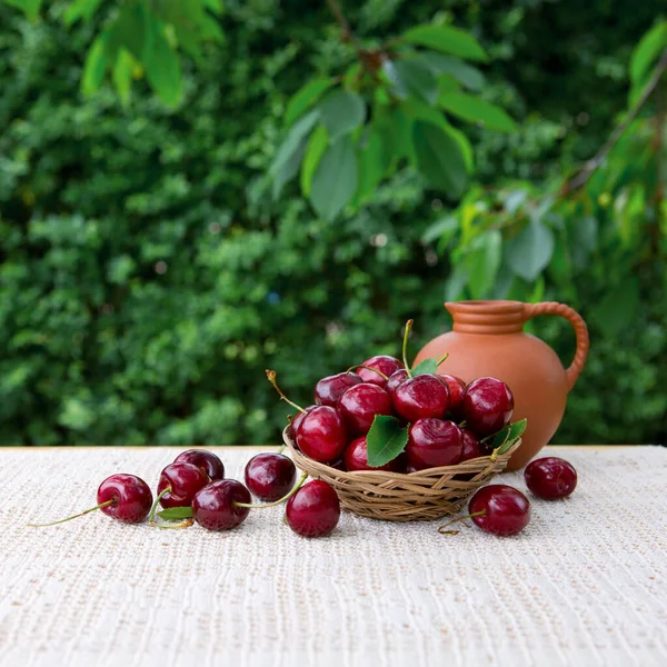 Große rote Kirschen in einem Korb und ein Krug Milch isoliert auf grün. — Stockfoto