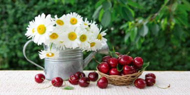 Sepette büyük kırmızı kirazlar ve yeşilde izole edilmiş su bidonunda papatyalar..