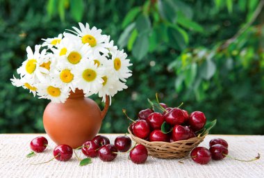 Sepette büyük kırmızı kirazlar ve yeşil bir sürahide papatyalar..