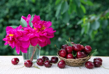 Büyük kirazlar ve kırmızı şakayıklar yeşil bardakta izole edilmiş..