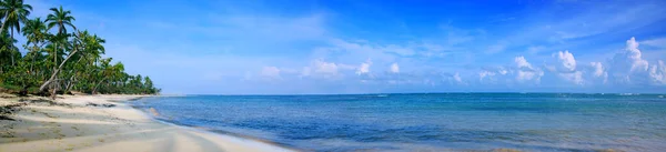 Karibisches Meer und grüne Palme am weißen tropischen Strand. — Stockfoto