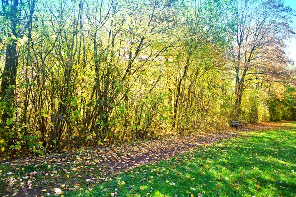 Banco en el parque en un día soleado. Paisaje otoñal. — Foto de Stock