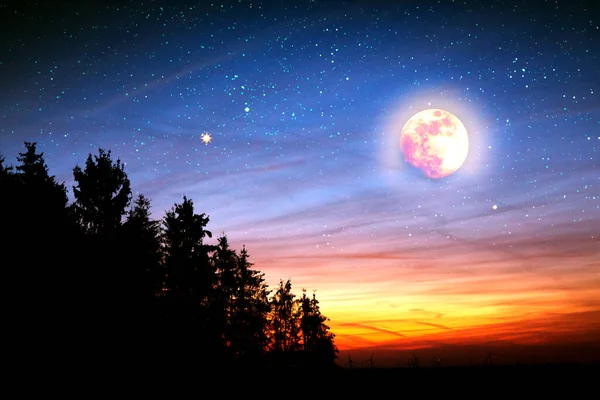 Paisaje con árboles negros y luna llena. Cielo oscuro nocturno. — Foto de Stock