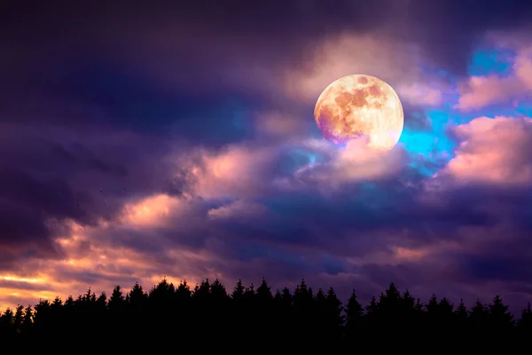 Silhouette di alberi e luna piena sul cielo notturno colorato. — Foto Stock