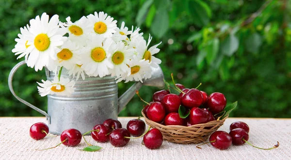 Sepette büyük kırmızı kirazlar ve yeşilde izole edilmiş su bidonunda papatyalar..