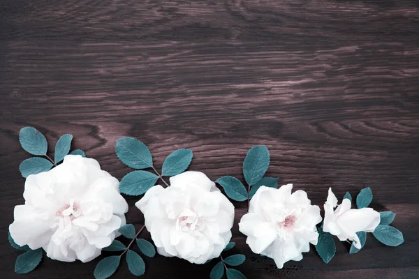 Witte rozen op bruine houten achtergrond.Kopieer ruimte — Stockfoto