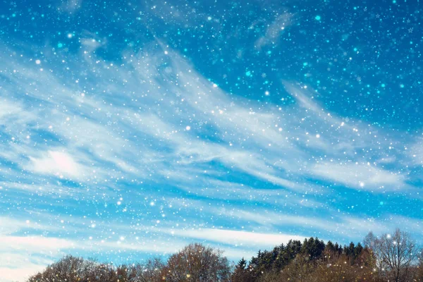 Zimní vánoční nebe s padajícím sněhem a stromy. — Stock fotografie
