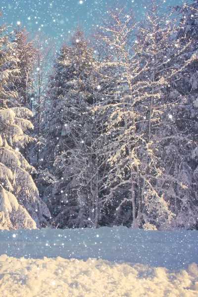 Winter-Weihnachtswald mit fallendem Schnee und Bäumen. — Stockfoto