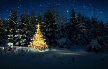 Kış ormanlarında altın Noel ağacı ve yıldızlar gökyüzünde. Noel kartı..