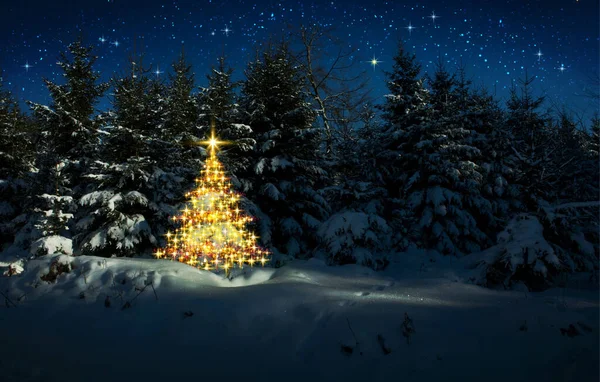 Arany karácsonyfa téli erdőben és csillagok égen.Karácsonyi kártya. — Stock Fotó
