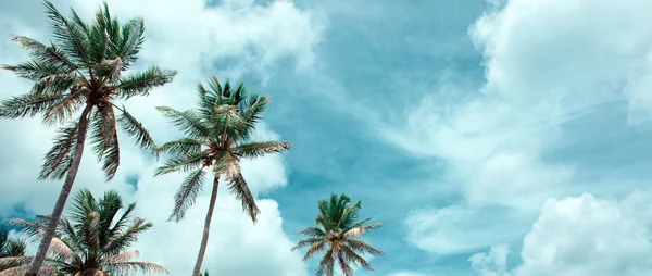 Cocotiers sur ciel bleu avec nuages blancs et lumière du soleil. — Photo