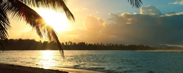 Tropical sunrise with coconut palm trees and caribbean sea . — Stock Photo, Image