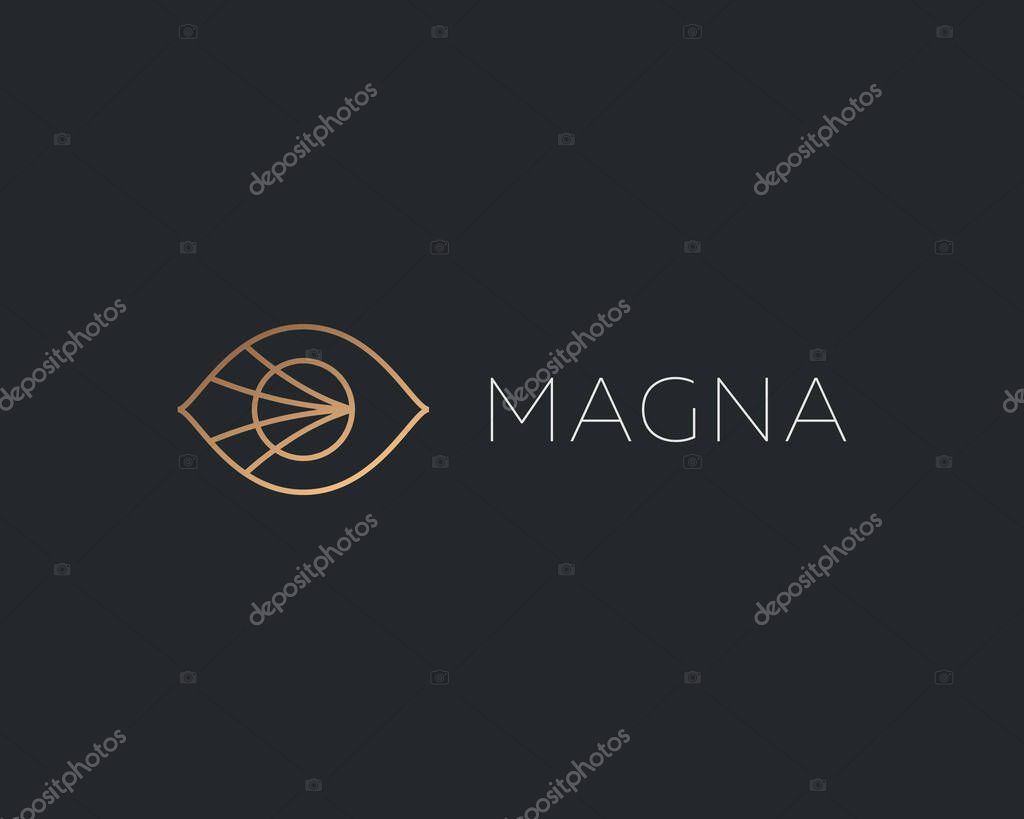 Eye sight logo design vector template in linear style. Premium ophthalmology vision sight logotype concept outline icon isolated on dark background