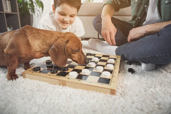 Bastante cachorro olfateando tablero de ajedrez cerca de hombre y niño — Foto de Stock