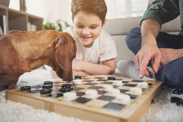 Curioso perro olfateando tablero de ajedrez cerca de propietarios — Foto de Stock