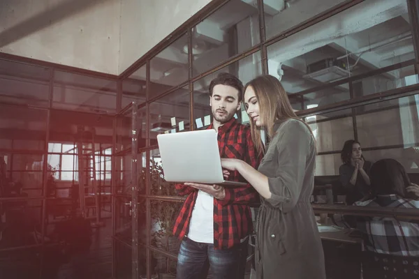 Agradable macho y hembra están trabajando juntos — Foto de Stock