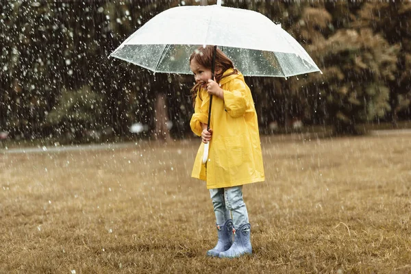 A touch of yellow on a rainy day 🌧💛 : r/AdorableHome