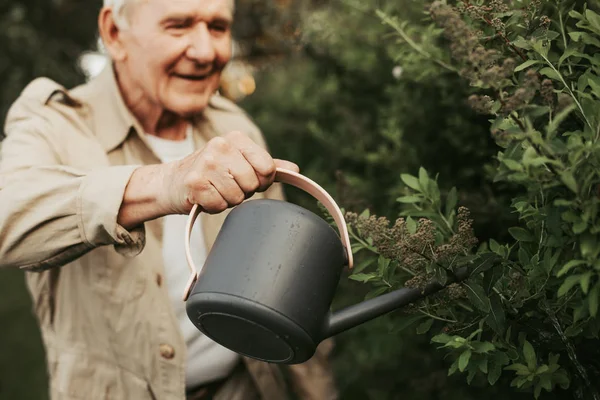 Cheerful glancing old gardener taking care of flowers — Stock Photo, Image