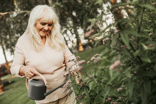 Добрая серебристая женщина, работающая садовником — стоковое фото
