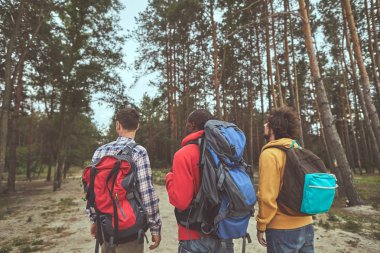 Ormanın içinde yürümek ve ileriye dönük yolcuları