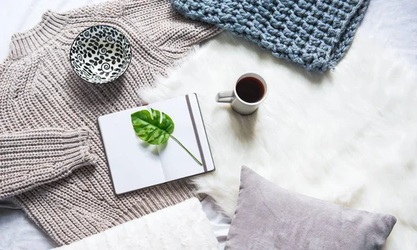 Copybook e planta estão situando no tapete — Fotografia de Stock