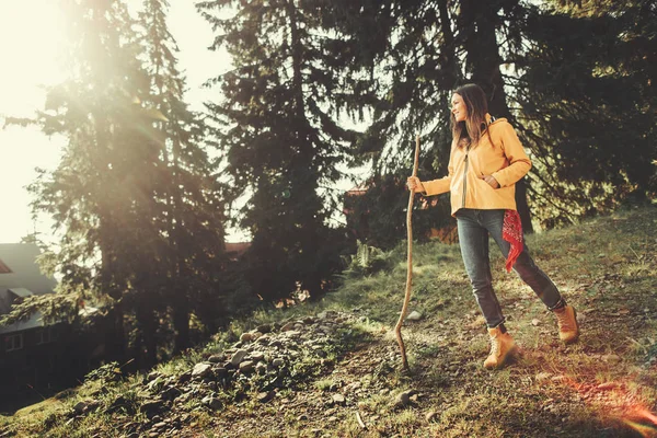 Радостная молодая женщина с деревянной палкой ходит по хвойным лесам — стоковое фото