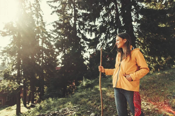 Aantrekkelijke jonge vrouw met houten stok staan in prachtig bos — Stockfoto