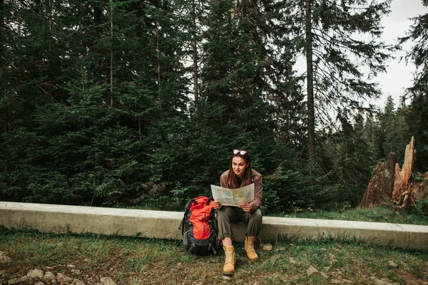 Девочка сидит в хвойном лесу и читает карту — стоковое фото