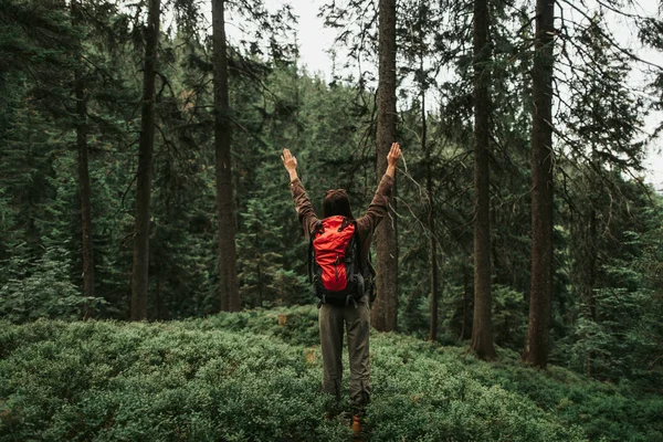 Jonge dame met opgeheven handen permanent in mooie naaldhout bos — Stockfoto