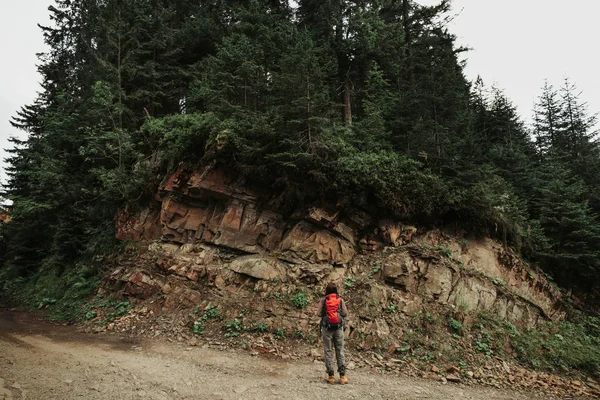 Unga kvinnliga resenären ser på berget hill med barrträd — Stockfoto