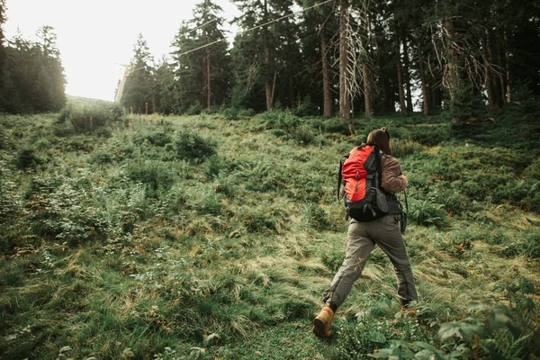 Mladá žena cestujícím kráčel sám v lese — Stock fotografie