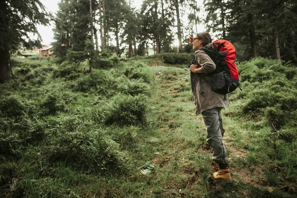 Mooi meisje met rugzak wandelen in het naaldhout — Stockfoto