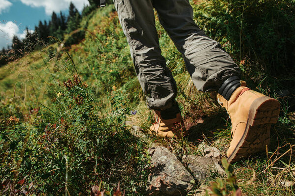 Female traveler walking down the wooded path