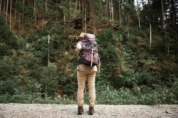 Опытный турист стоит с большим рюкзаком и смотрит на деревья — стоковое фото