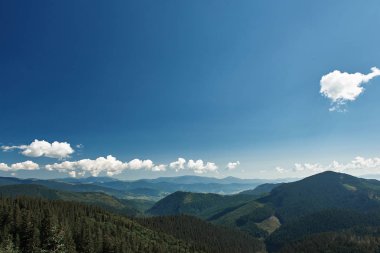 Panoramik Karpat Dağları'nın derin ormanla kaplı