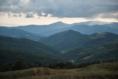 Panorama görünüm Karpat Dağları'nın derin ormanla kaplı