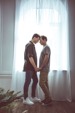 Genç gay çift pencere yanında dururken ihale an paylaşımı
