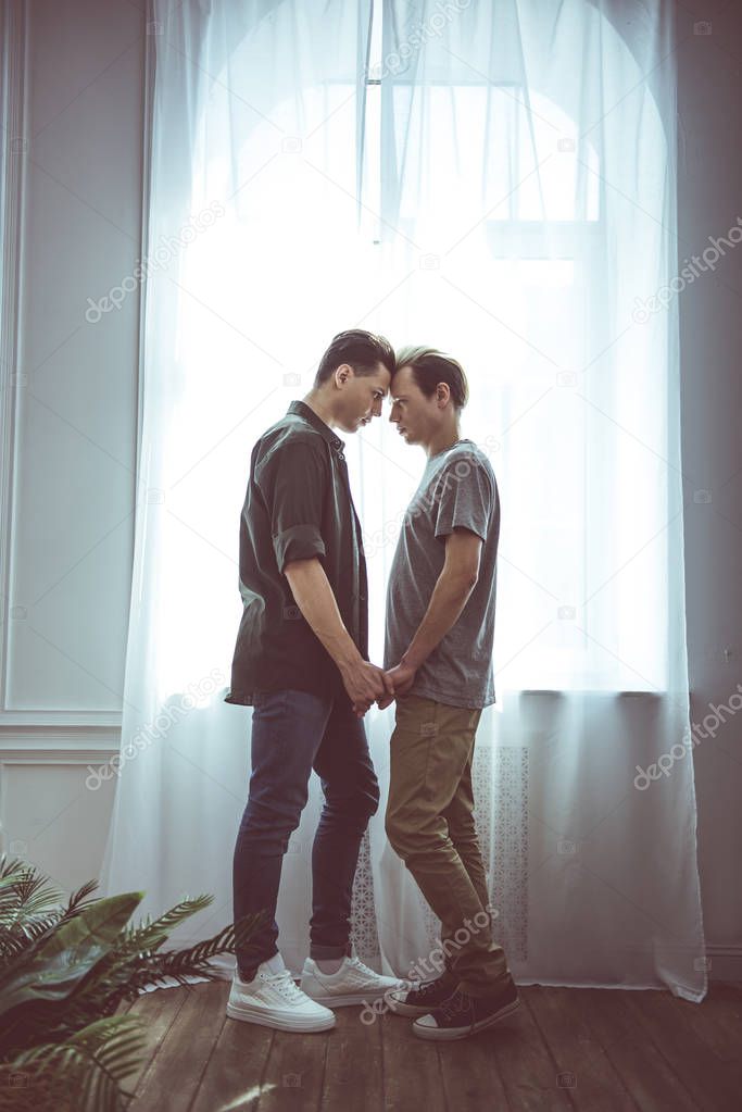 Young gay couple sharing tender moment while standing near window