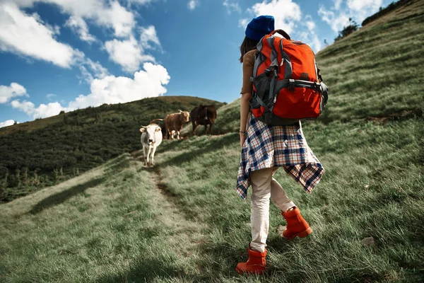 リュックサックで女性は牧草地近くの山でハイキングします。 — ストック写真