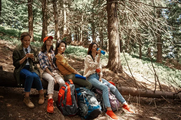 Радісні Жінки Ходять Рюкзаками Через Соснове Дерево Вони Ламаються Сидять — стокове фото