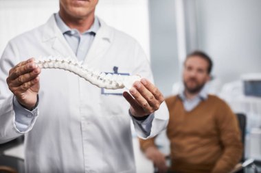 Adult doctor is holding realistic layout of spine clipart